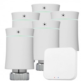 Radiatorkit Compleet met 5...