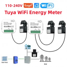 Tuya Misuratore di Energia...