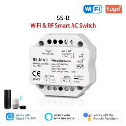 Tuya Switch Convertitore...