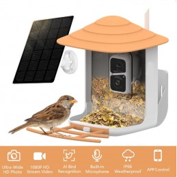 Distributeur d'oiseaux...